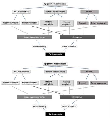 Epigenomics in Hurthle Cell Neoplasms: Filling in the Gaps Towards Clinical Application